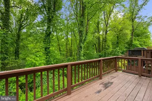 557 Bay Dale Ct, Arnold, MD 21012 - Photo 49