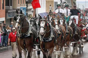 1106 Mainsail Dr, Annapolis, MD 21403 - Photo 43