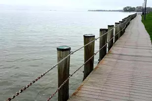 1346 Cox Cove Ct, Stoney Beach, MD 21226 - Photo 39