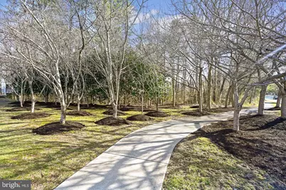 3557 Floating Leaf Lane #F202, Laurel, MD 20724 - Photo 23