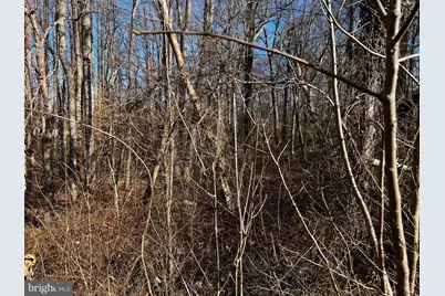 6299 McKendree Road, Dunkirk, MD 20754 - Photo 3