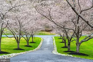 927 Hilltop Rd, Arnold, MD 21012 - Photo 61