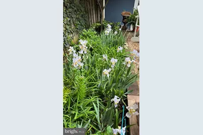 98 Duke Of Gloucester Street, Annapolis, MD 21401 - Photo 7