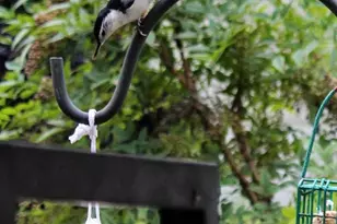 104 Meadow Rd, Riva, MD 21140 - Photo 21