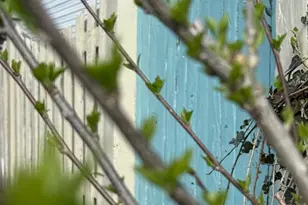 104 Meadow Rd, Riva, MD 21140 - Photo 23