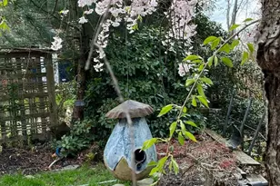 561 Arundel Dr, Severna Park, MD 21146 - Photo 47