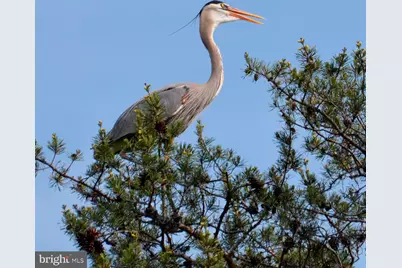 5965 Rockhold Creek Road, Deale, MD 20751 - Photo 3