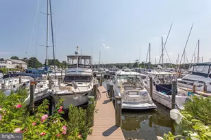 6308 Prout Farm Ln, Tracys Landing, MD 20779 - Photo 39