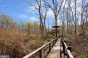 560 Herons Nest, Annapolis, MD 21409 - Photo 33