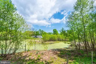 7674 Tuckerman Dr, Hanover, MD 21076 - Photo 43