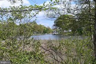 438 Crane's Roost Ct, Annapolis, MD 21409 - Photo 53