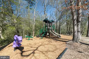 262 Capote Ct E, Severna Park, MD 21146 - Photo 89