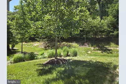 7415 Tennison Lane, Hanover, MD 21076 - Photo 43