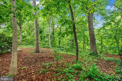1402 Catlyn Place, Annapolis, MD 21401 - Photo 43