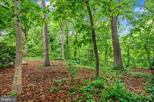 1402 Catlyn Pl, Annapolis, MD 21401 - Photo 43