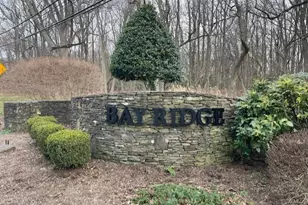 54 Decatur Ave, Annapolis, MD 21403 - Photo 63