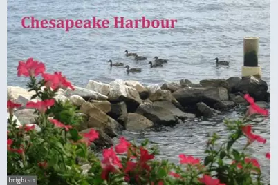 2020 Quay Village Court #T1, Annapolis, MD 21403 - Photo 11