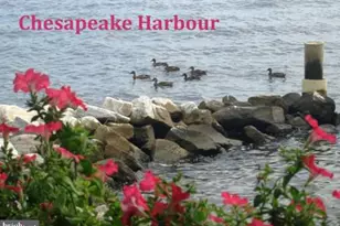 2020 Quay Village Ct, Annapolis, MD 21403 - Photo 11