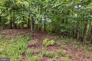 103 Quiet Waters Pl, Annapolis, MD 21403 - Photo 33