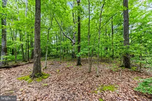 1430 Haile Pkwy, Shady Side, MD 20764 - Photo 27