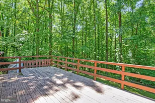 6524 Wilson Rd, Friendship, MD 20758 - Photo 43