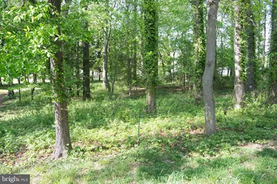 4785 Mountain Road, Pasadena, MD 21122 - Photo 17