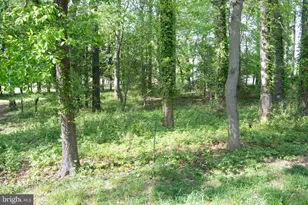 4785 Mountain Rd, Pasadena, MD 21122 - Photo 17