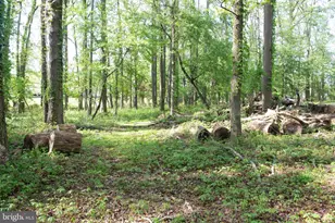 4785 Mountain Rd, Pasadena, MD 21122 - Photo 23