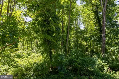563 Bay Dale Court, Arnold, MD 21012 - Photo 41