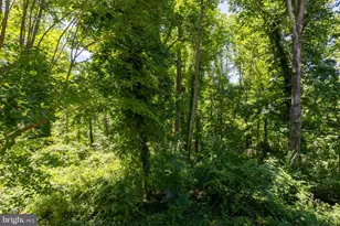 563 Bay Dale Ct, Arnold, MD 21012 - Photo 41