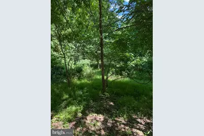 916 Woodward Lane, Crownsville, MD 21032 - Photo 5