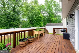 4909 Olive St, Shady Side, MD 20764 - Photo 7