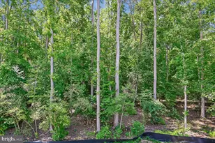 2638 Broadhorn Dr, Odenton, MD 21113 - Photo 43