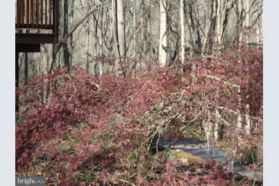 814 Rustic Lane, Lothian, MD 20711 - Photo 13