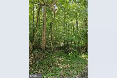 Herald Harbor Rd, Crownsville, MD 21032 - Photo 7