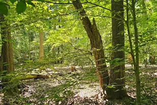 Herald Harbor Rd, Crownsville, MD 21032 - Photo 1