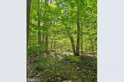 Herald Harbor Rd, Crownsville, MD 21032 - Photo 5
