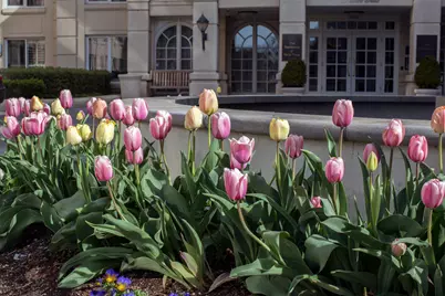 5 Park Place #603, Annapolis, MD 21401 - Photo 35