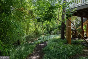221 Spring Race Ct, Annapolis, MD 21401 - Photo 79