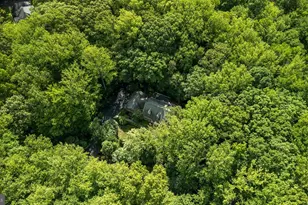 2005 St Stephens Woods Dr, Crownsville, MD 21032 - Photo 9