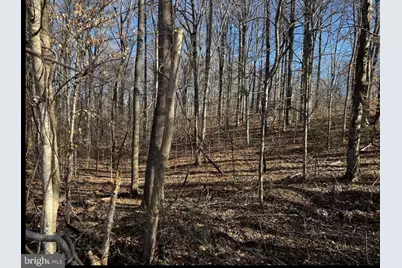 6299 McKendree Road, Dunkirk, MD 20754 - Photo 3
