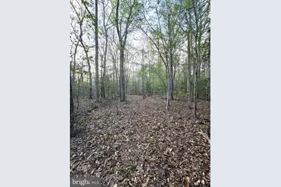 2577 Rutland Road, Davidsonville, MD 21035 - Photo 15