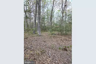 2577 Rutland Road, Davidsonville, MD 21035 - Photo 11