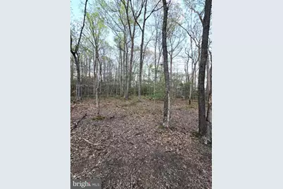2577 Rutland Road, Davidsonville, MD 21035 - Photo 13