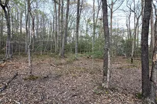 2577 Rutland Rd, Davidsonville, MD 21035 - Photo 13