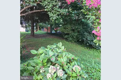 301 Cedar Lane, Annapolis, MD 21403 - Photo 5