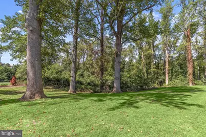 804 Rackham Road, Gibson Island, MD 21056 - Photo 5