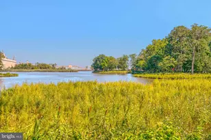 1306 Creekland Ct, Stoney Beach, MD 21226 - Photo 47