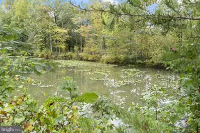 1333 Hawk Hollow Drive, Crofton, MD 21114 - Photo 35