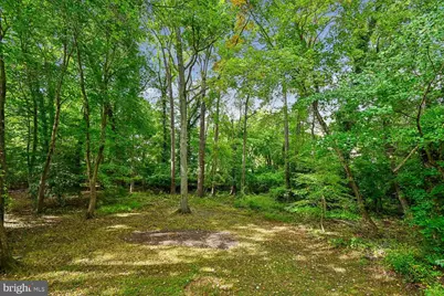 456 Poplar Lane, Annapolis, MD 21403 - Photo 43
